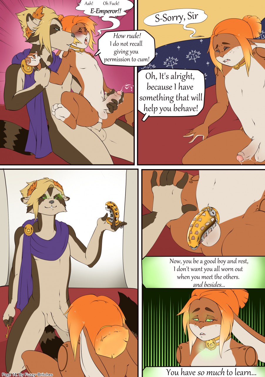 Page 14